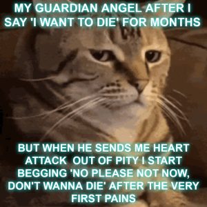 Stupid Bar Memes aPApO4Kss