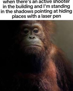 Stupid Bar Memes aYQnjL0ss