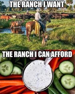 Stupid Bar Memes aZZdz6Qss