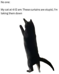 Stupid Bar Memes af45bb16733
