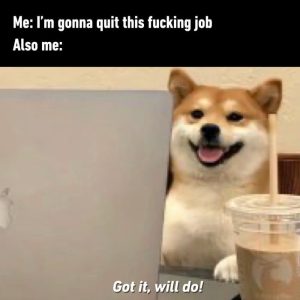 Stupid Bar Memes amoddV4ss