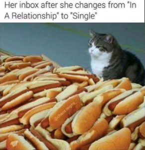 Stupid Bar Memes aoyq0Qess