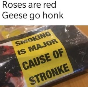 Stupid Bar Memes awyGKpDss