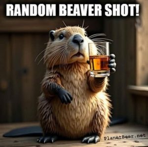 Stupid Bar Memes b9c9116e05d1e69