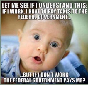 Stupid Bar Memes babyysfederalsg