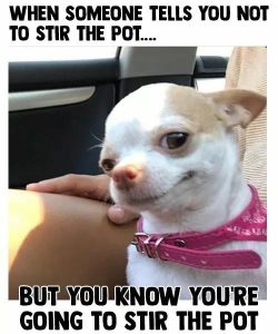 Stupid Bar Memes c0fcfd943d8520cb