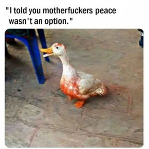 Stupid Bar Memes c62ad2fc6a5
