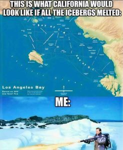 Stupid Bar Memes calrgssmeltedsme