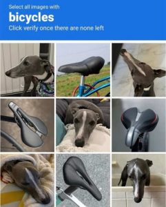 Stupid Bar Memes captchassessbicycl