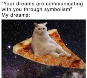 Stupid Bar Memes catsommunicatingss