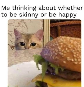 Stupid Bar Memes catsthinkinappysche