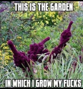 Stupid Bar Memes cb2d7bb98225