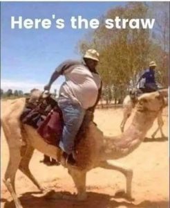 Stupid Bar Memes d632bab89c8eb5c7