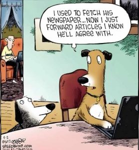 Stupid Bar Memes dogsfetchsnowsforward
