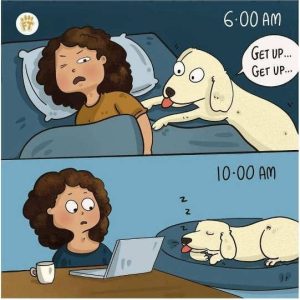 Stupid Bar Memes dssleepingswhile