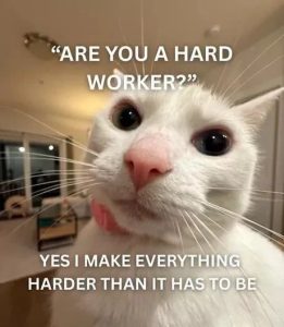 Stupid Bar Memes ea4746f0825