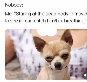 Stupid Bar Memes fc776a6086c