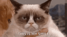 Stupid Bar Memes grumpyscatssmile