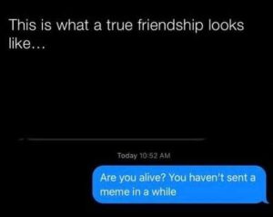 Stupid Bar Memes livestextshave