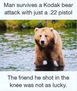 Stupid Bar Memes manssbearsattack
