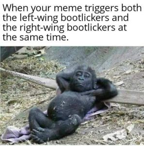 Stupid Bar Memes memestrightswi