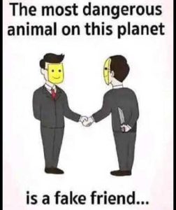 Stupid Bar Memes messangeroussanimlaspl