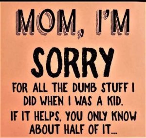 Stupid Bar Memes momnlysknowsh