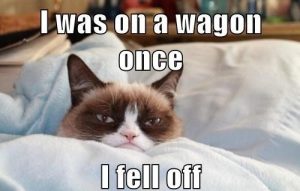 Stupid Bar Memes onesmorestosbesgrumpy