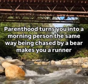 Stupid Bar Memes parenthonsbearsr