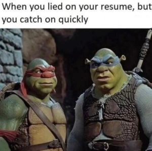 Stupid Bar Memes shreksniiedsresume