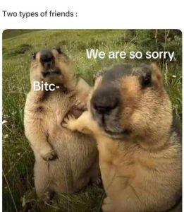 Stupid Bar Memes tsbtchssossor
