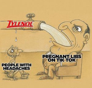 Stupid Bar Memes tylenowithsheadachessli