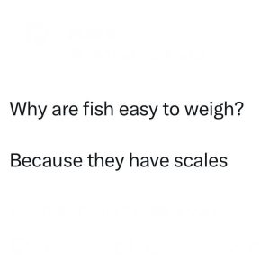 Stupid Bar Memes 04276915s66627