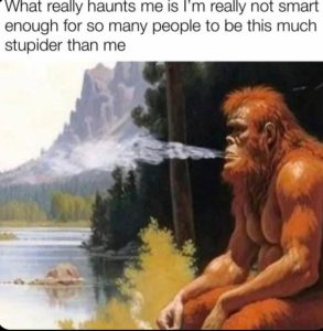 Stupid Bar Memes 0653c35ed576