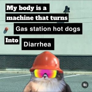 Stupid Bar Memes 0bb011054ae50