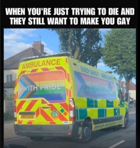 Stupid Bar Memes 0d484574ae6
