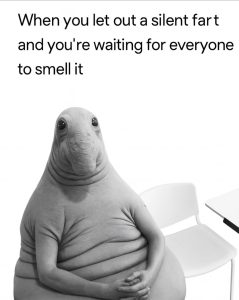 Stupid Bar Memes 16168065s140