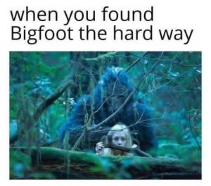 Stupid Bar Memes 2595330297