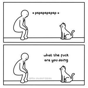 Stupid Bar Memes 3284934s3254