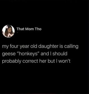Stupid Bar Memes 382c655a52da860