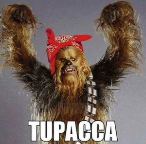 Stupid Bar Memes 3c1c490ce55