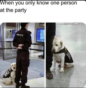 Stupid Bar Memes 44cf2d889aca8