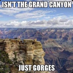 Stupid Bar Memes 542812s2926