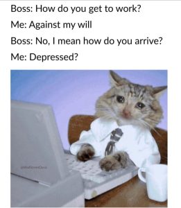Stupid Bar Memes 55425s76812