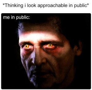 Stupid Bar Memes 5668964s115900