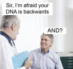 Stupid Bar Memes 5d92c378e7