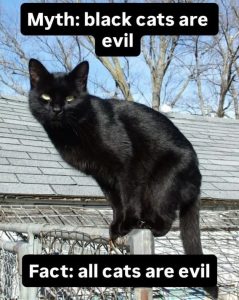 Stupid Bar Memes 6a8125c0a852f