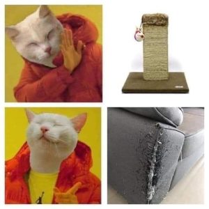 Stupid Bar Memes 6f02c65a13
