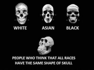 Stupid Bar Memes 9cc0f8e57a9e3b97