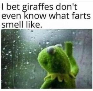 Stupid Bar Memes a07feab662f9
